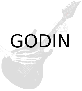 Godin Guitar